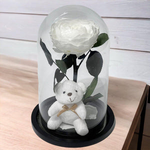 Bujor Criogenat Alb În Cupolă De Sticlă Cu Bază Din Lemn Negru Ø10cm 15x25cm - Trandafir - Criogenat.ro