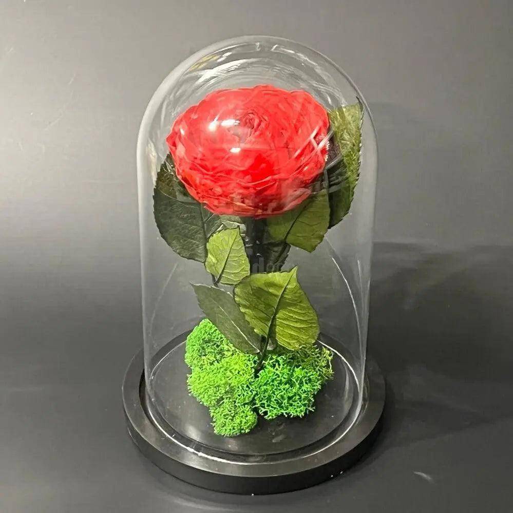 Bujor Criogenat Roșu Cu Cupolă Din Sticlă Diametru 10cm Cadou Etern 15x25cm - Trandafir - Criogenat.ro