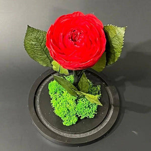 Bujor Criogenat Roșu Cu Cupolă Din Sticlă Diametru 10cm Cadou Etern 15x25cm - Trandafir - Criogenat.ro