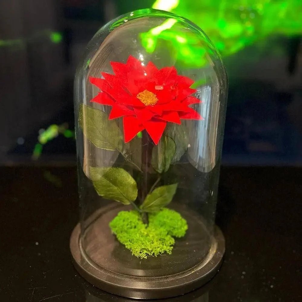 Craciunita Criogenata Rosie Cupola Decorativa 10 Cm Cadou Unic Pentru Iubita - Trandafir - Criogenat.ro