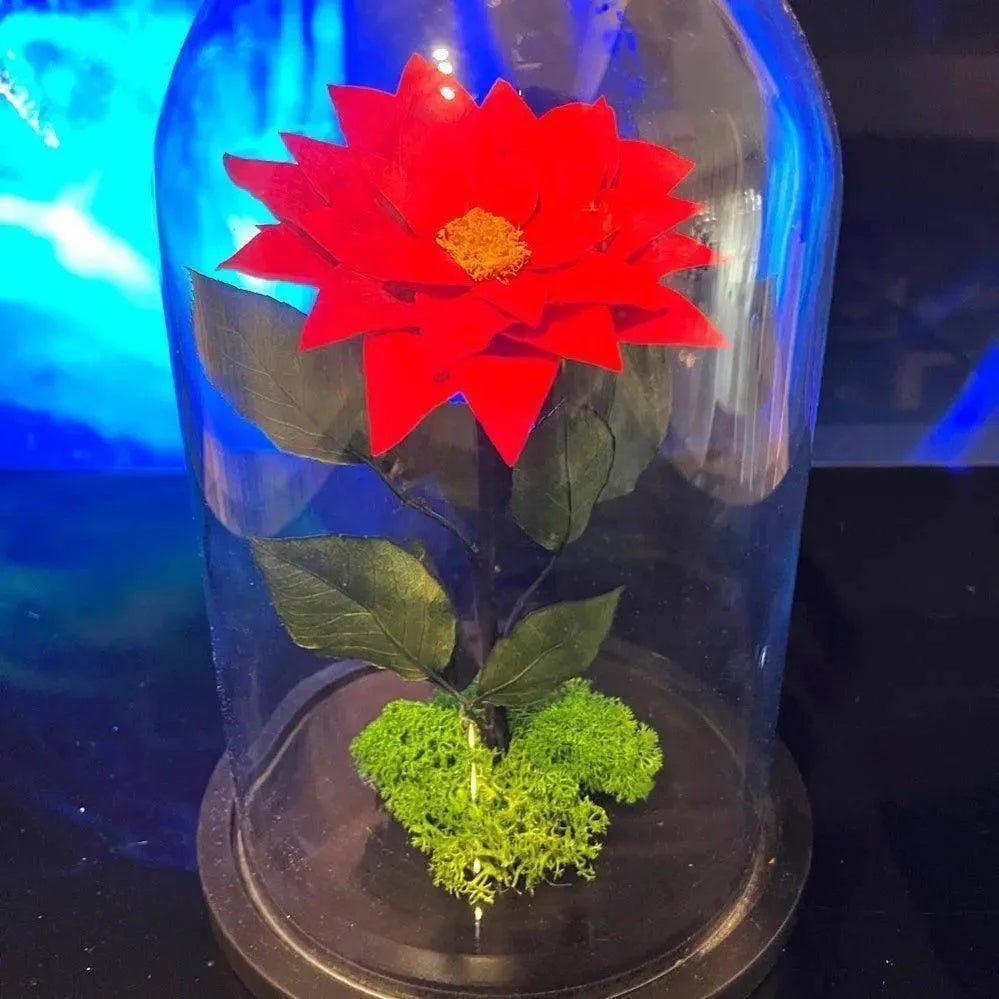 Craciunita Criogenata Rosie Cupola Decorativa 10 Cm Cadou Unic Pentru Iubita - Trandafir - Criogenat.ro