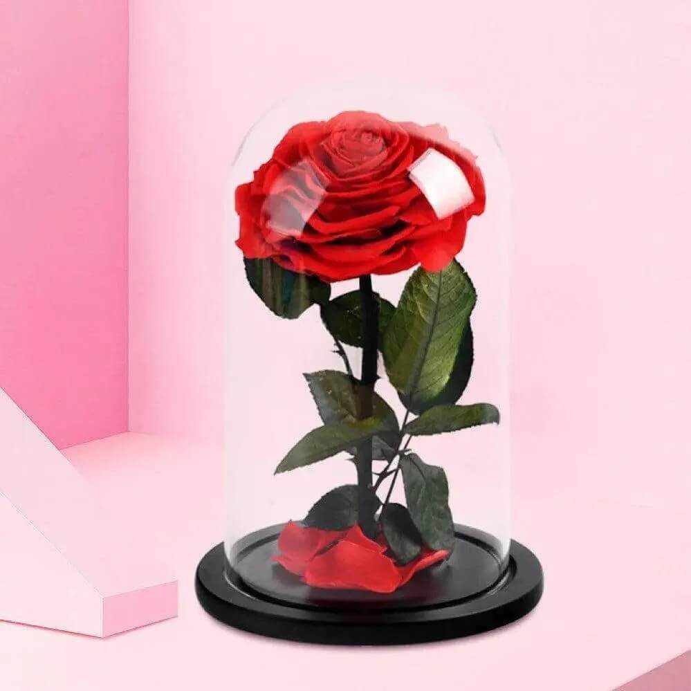 Cupola De Sticlă Cu Trandafir Criogenat Roșu 9,5 Cm Cadou Iubire Eternă 12x25 Cm - Trandafir - Criogenat.ro