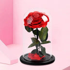Cupola De Sticlă Cu Trandafir Criogenat Roșu 9,5 Cm Cadou Iubire Eternă 12x25 Cm - Trandafir - Criogenat.ro