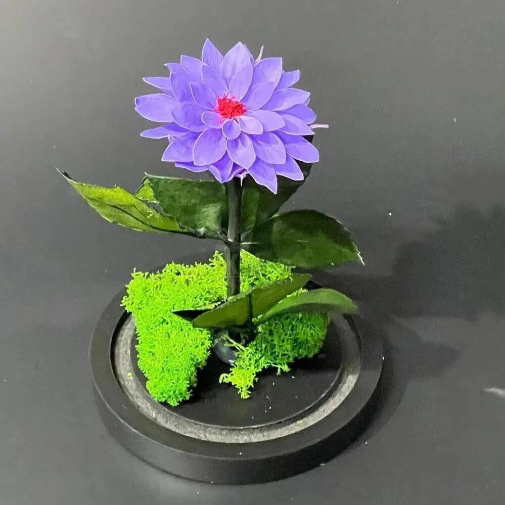 Dalie Criogenata Mov In Cupola Sticla Eleganta 10x20cm Cadou Unic Pentru Femei - Trandafir - Criogenat.ro