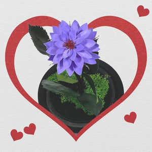 Dalie Criogenata Mov In Cupola Sticla Eleganta 10x20cm Cadou Unic Pentru Femei - Trandafir - Criogenat.ro