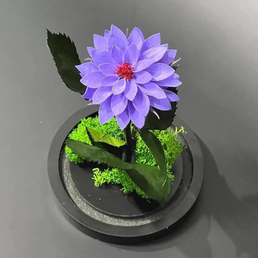 Dalie Criogenata Mov In Cupola Sticla Eleganta 10x20cm Cadou Unic Pentru Femei - Trandafir - Criogenat.ro