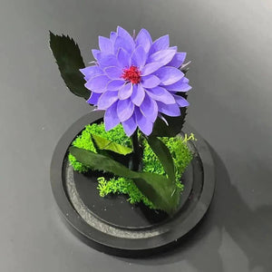 Dalie Criogenata Mov In Cupola Sticla Eleganta 10x20cm Cadou Unic Pentru Femei - Trandafir - Criogenat.ro