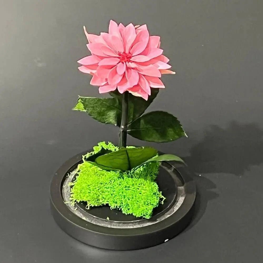 Dalie Criogenata Mov - Pudrat In Cupola De Sticla Cu Mesaj Personalizat Ø8cm - Trandafir - Criogenat.ro