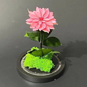 Dalie Criogenata Mov - Pudrat In Cupola De Sticla Cu Mesaj Personalizat Ø8cm - Trandafir - Criogenat.ro