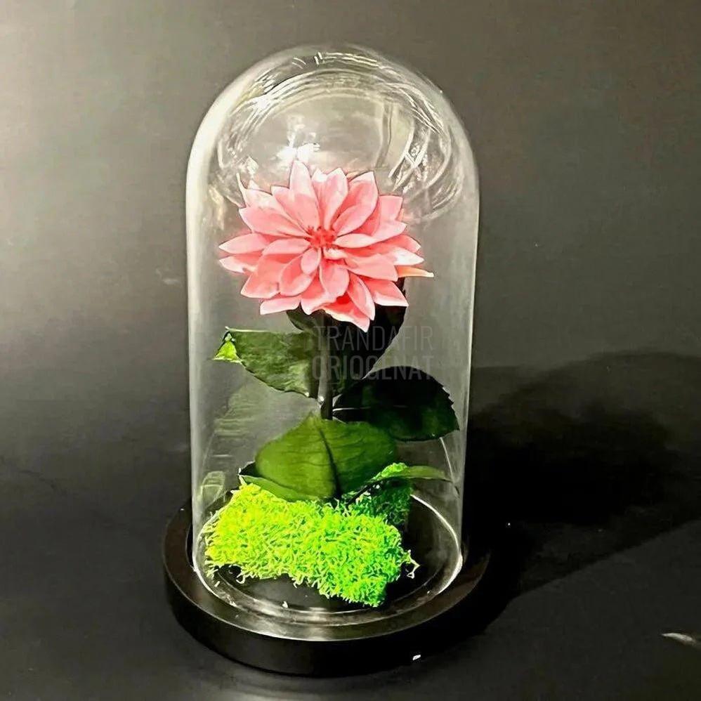 Dalie Criogenata Mov - Pudrat In Cupola De Sticla Cu Mesaj Personalizat Ø8cm - Trandafir - Criogenat.ro