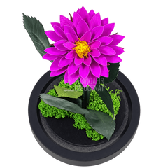 Dalie criogenată purpurie în cupolă de sticlă 10 × 20 cm, cu mesaj - Trandafir-Criogenat.ro
