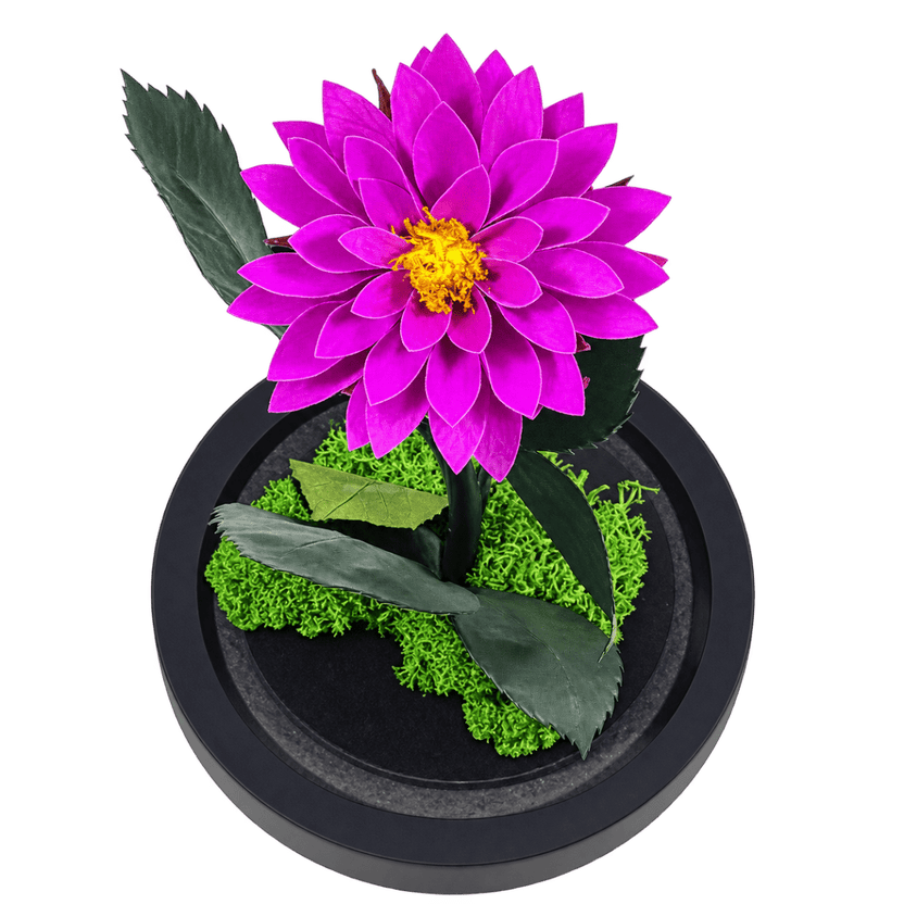 Dalie criogenată purpurie în cupolă de sticlă 10 × 20 cm, cu mesaj - Trandafir-Criogenat.ro