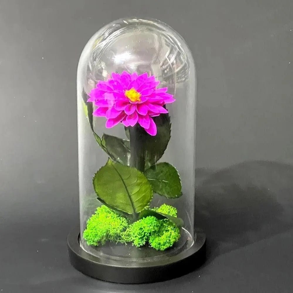 Dalie Criogenată Purpurie Ø8cm În Cupolă De Sticlă Cadou Ideal Pentru Dragoste - Trandafir - Criogenat.ro