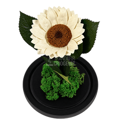 Floarea-soarelui criogenată albă în cupolă de sticlă 15 × 25 cm, cu mesaj - Trandafir-Criogenat.ro