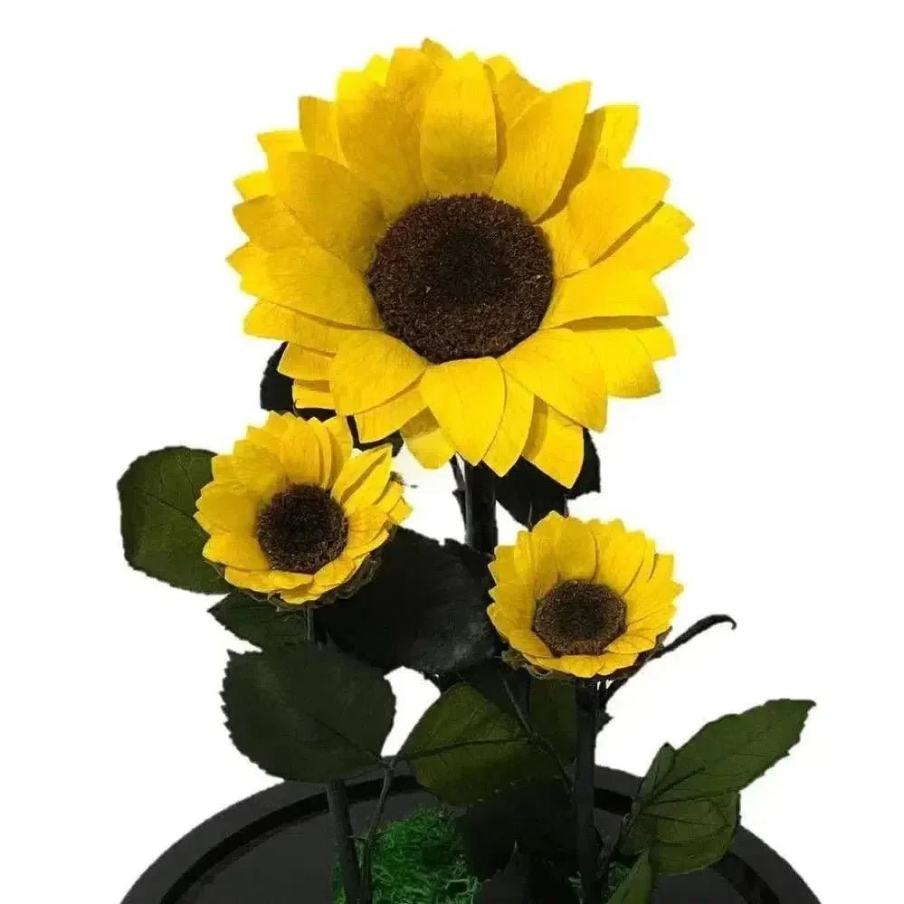 Floarea Soarelui Criogenată cu Două Floricele Adiționale în Cupolă de Sticlă - Trandafir - Criogenat.ro