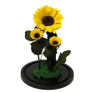 Floarea Soarelui Criogenată cu Două Floricele Adiționale în Cupolă de Sticlă - Trandafir - Criogenat.ro