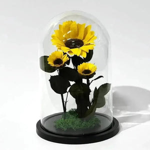 Floarea Soarelui Criogenată cu Două Floricele Adiționale în Cupolă de Sticlă - Trandafir - Criogenat.ro
