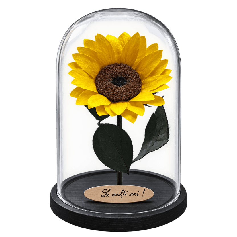 Floarea-soarelui criogenată galbenă în cupolă de sticlă 15 × 25 cm, cu mesaj - Trandafir-Criogenat.ro