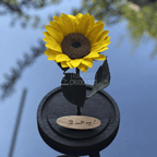 Floarea-soarelui criogenată galbenă în cupolă de sticlă 15 × 25 cm, cu mesaj - Trandafir-Criogenat.ro