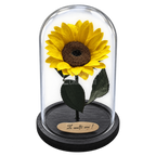 Floarea-soarelui criogenată galbenă în cupolă de sticlă 15 × 25 cm, cu mesaj - Trandafir-Criogenat.ro