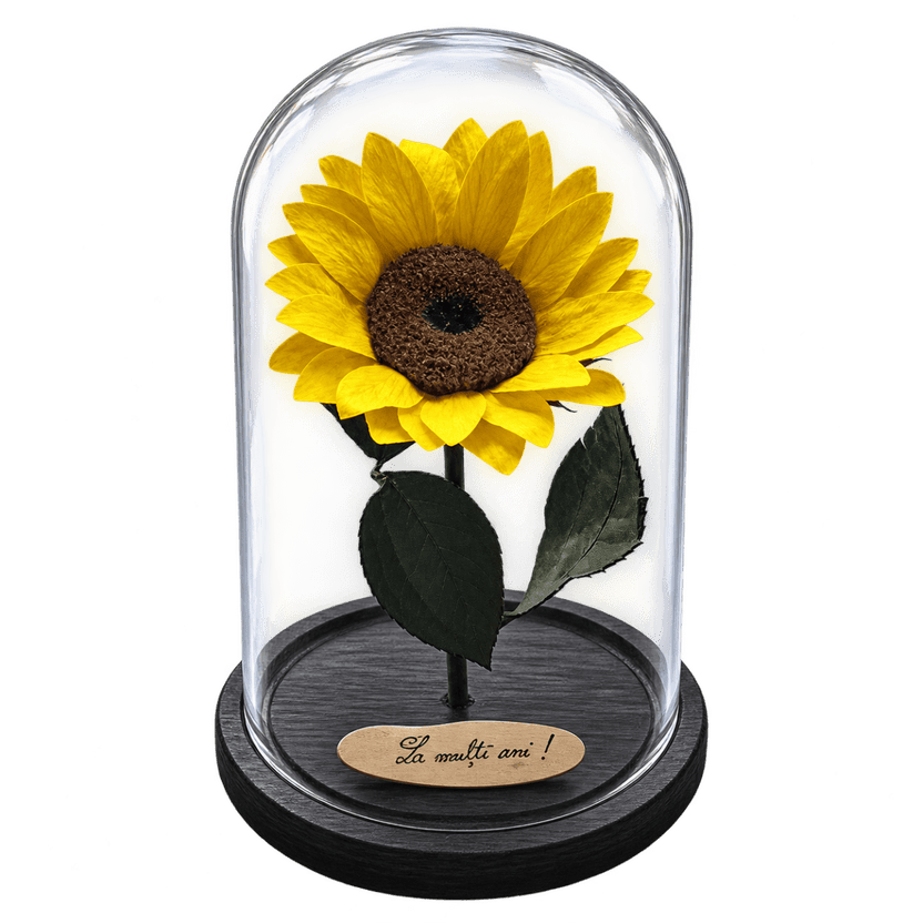 Floarea-soarelui criogenată galbenă în cupolă de sticlă 15 × 25 cm, cu mesaj - Trandafir-Criogenat.ro