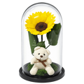 Floarea-soarelui criogenată galbenă în cupolă de sticlă 15 × 25 cm, cu ursuleț, cu mesaj - Trandafir-Criogenat.ro