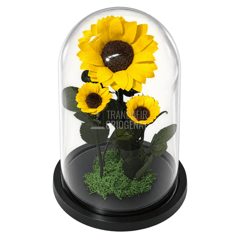Floarea-soarelui criogenată în cupolă de sticlă 15 × 25 cm, cu mesaj - Trandafir-Criogenat.ro