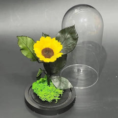 Floarea Soarelui Criogenata In Cupola De Sticla Cu Mesaj Personalizat Si Special - Trandafir - Criogenat.ro