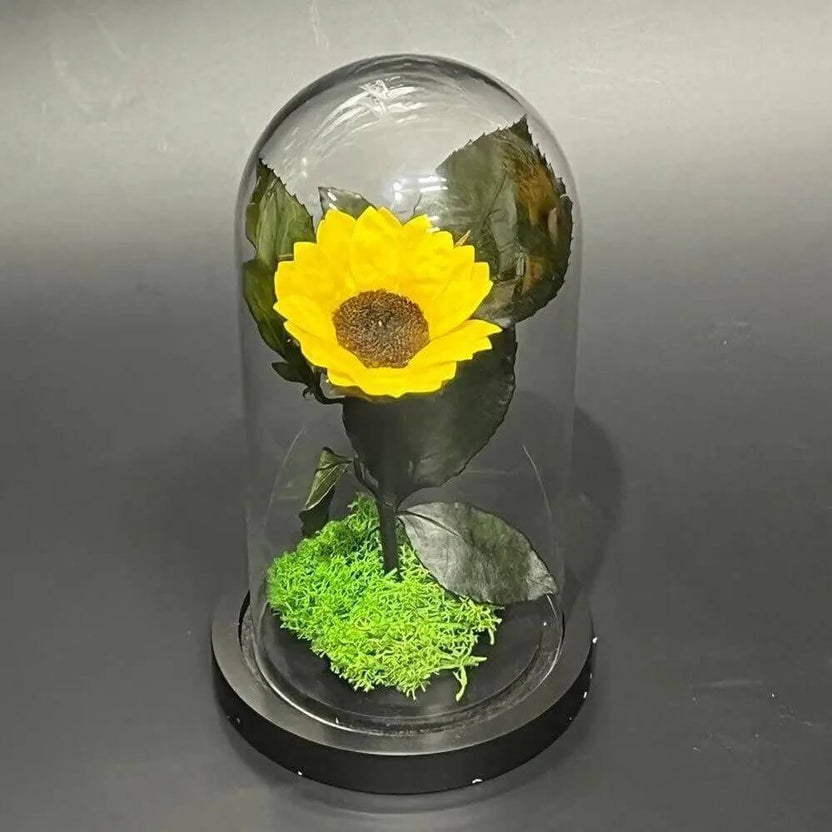 Floarea Soarelui Criogenata In Cupola De Sticla Cu Mesaj Personalizat Si Special - Trandafir - Criogenat.ro
