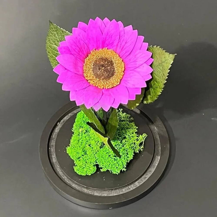 Floarea Soarelui Criogenata Mov Cupolă de Sticlă 12cm Cadou pentru Femei - Trandafir - Criogenat.ro