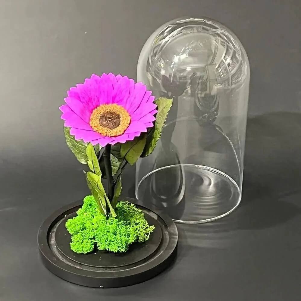 Floarea Soarelui Criogenata Mov Cupolă de Sticlă 12cm Cadou pentru Femei - Trandafir - Criogenat.ro