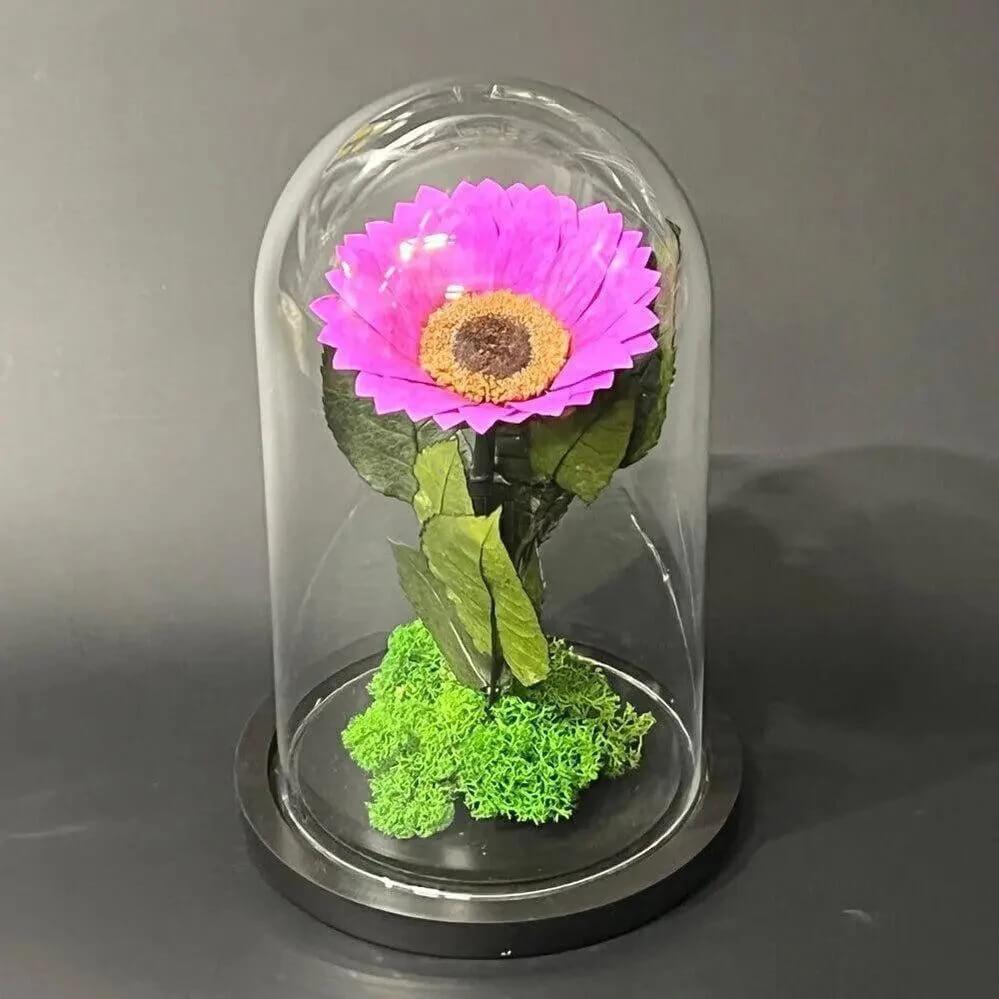 Floarea Soarelui Criogenata Mov Cupolă de Sticlă 12cm Cadou pentru Femei - Trandafir - Criogenat.ro