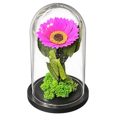 Floarea-soarelui criogenată mov în cupolă de sticlă 15 × 25 cm, cu mesaj