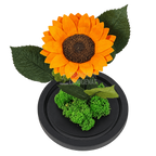 Floarea-soarelui criogenată portocalie în cupolă de sticlă 15 × 25 cm, cu mesaj - Trandafir-Criogenat.ro