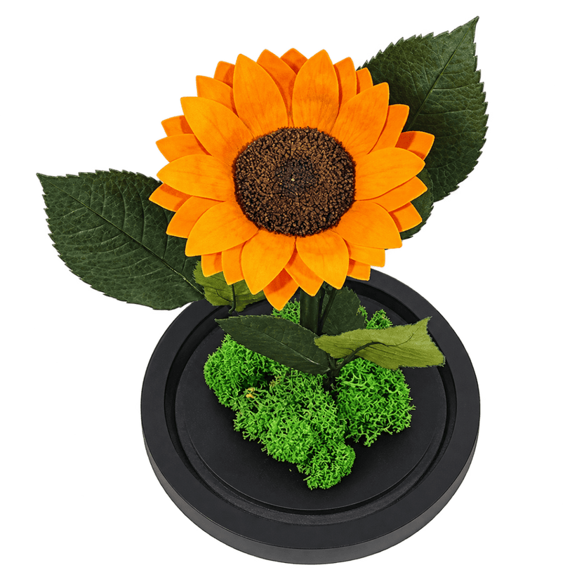 Floarea-soarelui criogenată portocalie în cupolă de sticlă 15 × 25 cm, cu mesaj - Trandafir-Criogenat.ro
