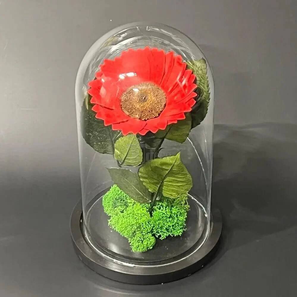 Floarea Soarelui Criogenată Roșie Cu Cupolă De Sticlă 12 Cm Cadou Perfect - Trandafir - Criogenat.ro