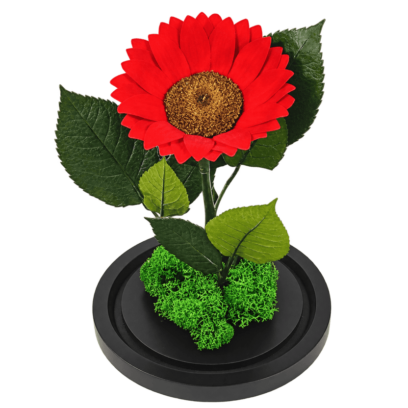 Floarea-soarelui criogenată roșie în cupolă de sticlă 15 × 25 cm, cu mesaj - Trandafir-Criogenat.ro
