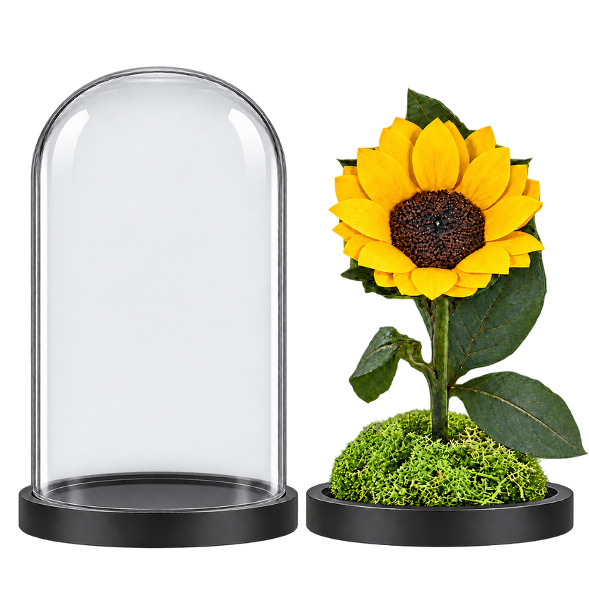 Floarea-soarelui criogenată XL galbenă în cupolă de sticlă 10 × 20 cm - Trandafir-Criogenat.ro