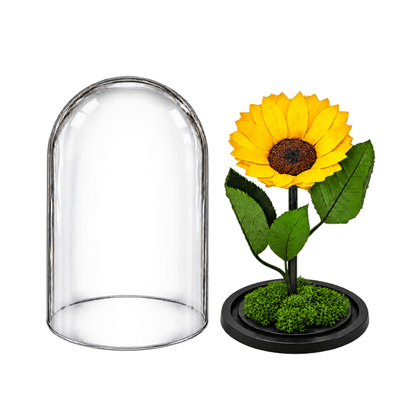 Floarea-soarelui criogenată XXL galbenă în cupolă de sticlă 15 × 25 cm - Trandafir-Criogenat.ro