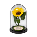 Floarea-soarelui criogenată XXL galbenă în cupolă de sticlă 15 × 25 cm - Trandafir-Criogenat.ro