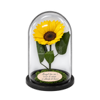 Floarea-soarelui criogenată XXL galbenă în cupolă de sticlă 15 × 25 cm - Trandafir-Criogenat.ro