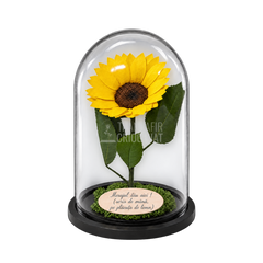 Floarea-soarelui criogenată XXL galbenă în cupolă de sticlă 15 × 25 cm - Trandafir-Criogenat.ro