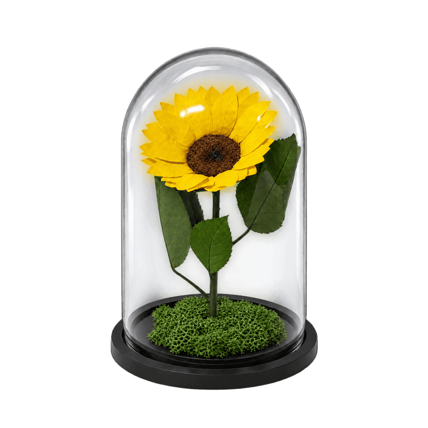 Floarea-soarelui criogenată XXL galbenă în cupolă de sticlă 15 × 25 cm - Trandafir-Criogenat.ro