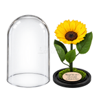 Floarea-soarelui criogenată XXL galbenă în cupolă de sticlă 15 × 25 cm - Trandafir-Criogenat.ro