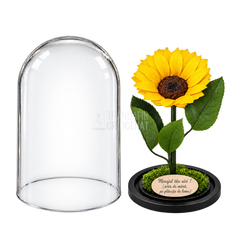 Floarea-soarelui criogenată XXL galbenă în cupolă de sticlă 15 × 25 cm - Trandafir-Criogenat.ro