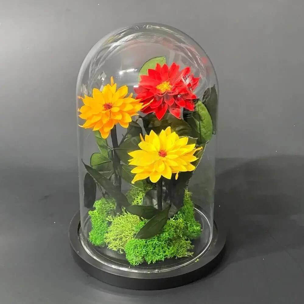 Set Dalii Criogenate În Cupolă De Sticlă Elegantă Roșu Galben Portocaliu - Trandafir - Criogenat.ro
