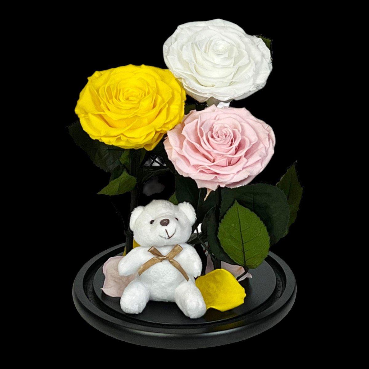 Set de Trandafiri Criogenati Mari Cupolă Sticlă Ursuleț Plush Galben Alb Roz - Trandafir - Criogenat.ro