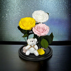 Set de Trandafiri Criogenati Mari Cupolă Sticlă Ursuleț Plush Galben Alb Roz - Trandafir - Criogenat.ro
