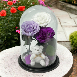 Set Elegant De 3 Trandafiri Criogenati Alb Lila Purpuriu In Cupola De Sticla - Trandafir - Criogenat.ro