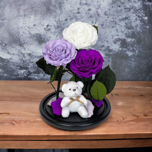 Set Elegant De 3 Trandafiri Criogenati Alb Lila Purpuriu In Cupola De Sticla - Trandafir - Criogenat.ro